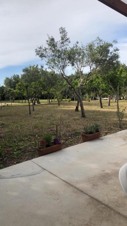 Fleming 46 Villa Alghero Eksteriør bilde